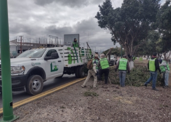 EL ESTADO Y EL AYUNTAMIENTO DE SOLEDAD MEJORAN IMAGEN URBANA DE LA CARRETERA 57
