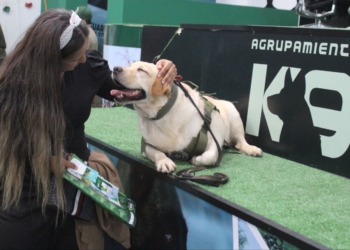 ACTIVA PARTICIPACIÓN DE AGRUPAMIENTO K9 DE LA GUARDIA CIVIL ESTATAL EN LABORES DE PROXIMIDAD SOCIAL