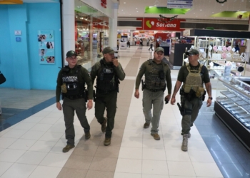 ESTADO DESPLIEGA OPERATIVOS DE PROTECCIÓN Y VIGILANCIA POR CIERRE DE AÑO