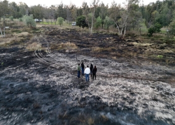 CONTROLADO EL INCENDIO EN PARQUE TANGAMANGA I