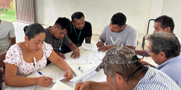ASESORÍA SIN LÍMITES EN MATERIA DE CONSULTA INDÍGENA