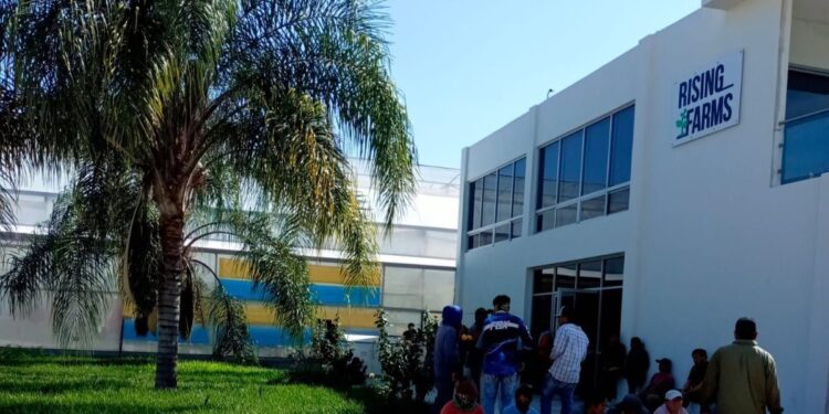 SE ATIENDE EXIGENCIA DE LOS TRABAJADORES DE RISING FARM EN CIUDAD FERNÁNDEZ