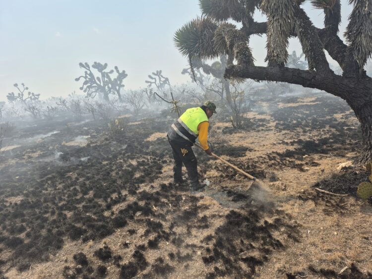 OPERATIVO ESTATAL CONTIENE INCENDIO FORESTAL EN SANTO DOMINGO