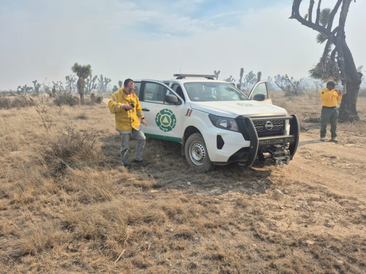 OPERATIVO ESTATAL CONTIENE INCENDIO FORESTAL EN SANTO DOMINGO