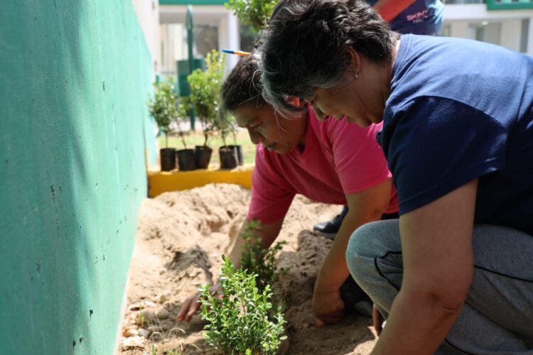 GOBIERNO ESTATAL FOMENTA PARTICIPACIÓN DE ADULTOS MAYORES EN EL CUIDADO AMBIENTAL