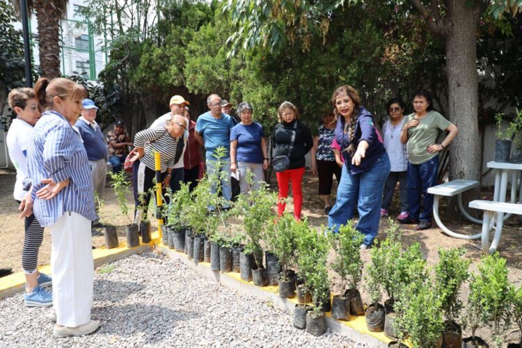 GOBIERNO ESTATAL FOMENTA PARTICIPACIÓN DE ADULTOS MAYORES EN EL CUIDADO AMBIENTAL