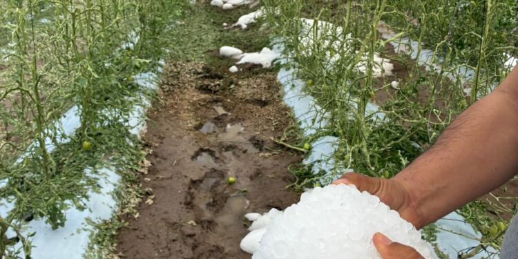 GOBIERNO ESTATAL ACTÚA ANTE DAÑOS POR TROMBA EN LA CAPITAL Y VILLA DE ARISTA