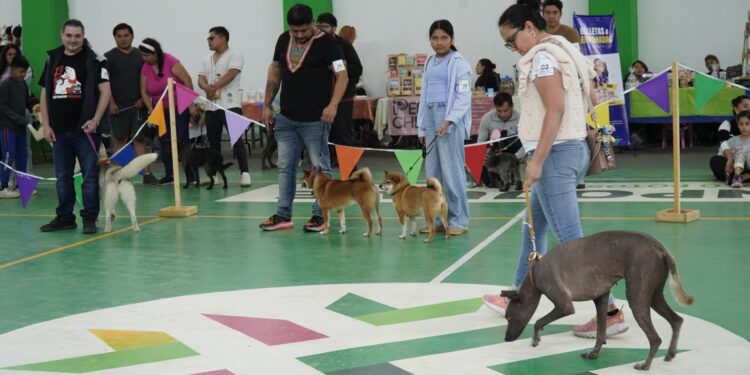 GOBIERNO ESTATAL INVITA AL DOG FEST JUVENTUD 2026