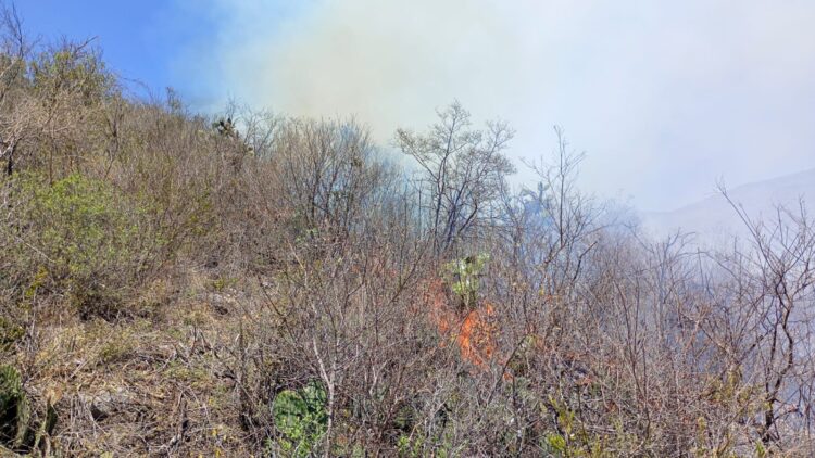 ESTADO RESPONDE DE INMEDIATO A INCENDIO FORESTAL EN CIUDAD DEL MAÍZ