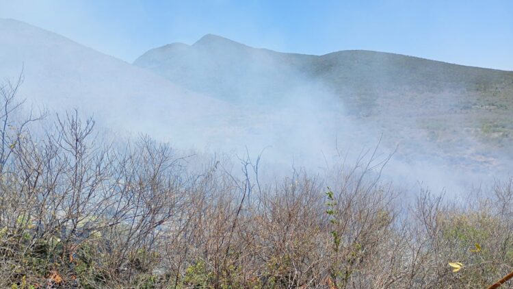 ESTADO RESPONDE DE INMEDIATO A INCENDIO FORESTAL EN CIUDAD DEL MAÍZ