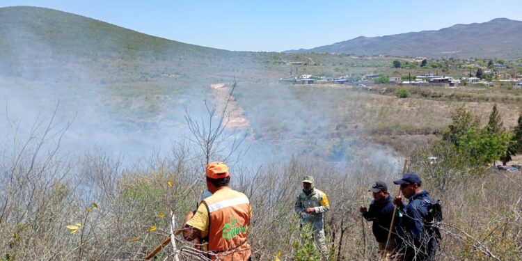 ESTADO RESPONDE DE INMEDIATO A INCENDIO FORESTAL EN CIUDAD DEL MAÍZ