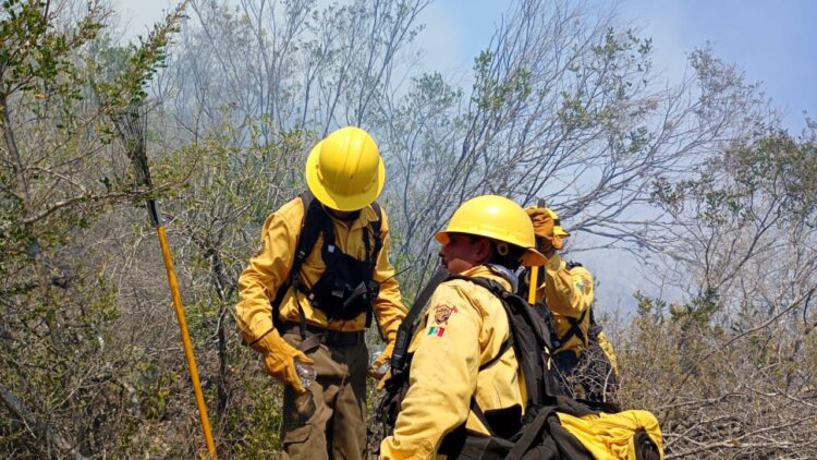 ESTADO RESPONDE DE INMEDIATO A INCENDIO FORESTAL EN CIUDAD DEL MAÍZ
