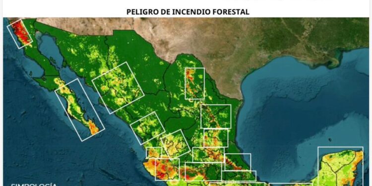 ESTADO REFUERZA RESPUESTA ANTE INCENDIOS FORESTALES