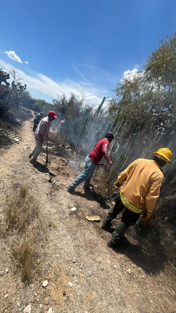 ESTADO REFUERZA RESPUESTA ANTE INCENDIOS FORESTALES