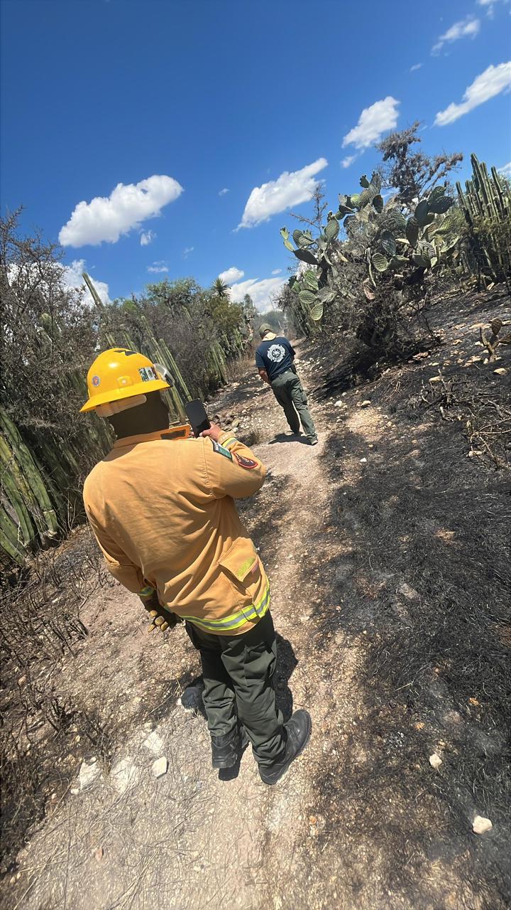 ESTADO REFUERZA RESPUESTA ANTE INCENDIOS FORESTALES