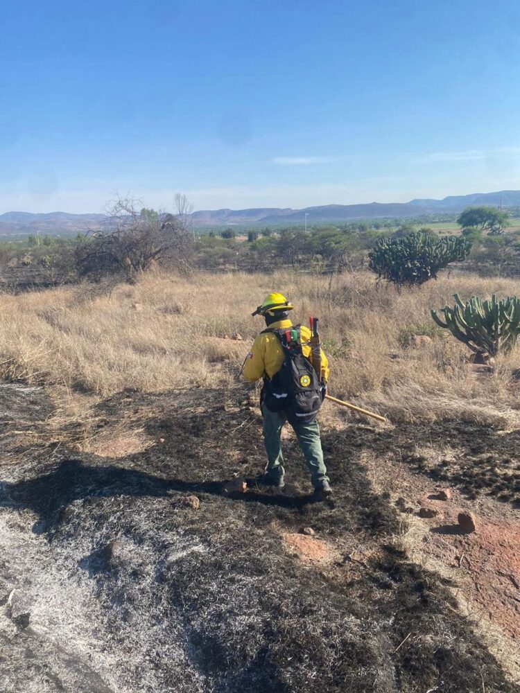 ESTADO ATIENDE INCENDIOS FORESTALES EN SANTA MARÍA DEL RÍO Y CÁRDENAS