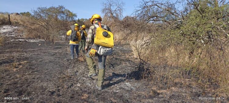 ESTADO ATIENDE INCENDIOS FORESTALES EN SANTA MARÍA DEL RÍO Y CÁRDENAS