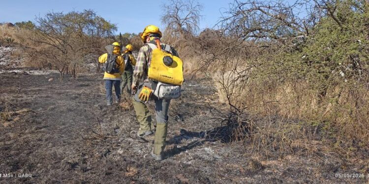 ESTADO ATIENDE INCENDIOS FORESTALES EN SANTA MARÍA DEL RÍO Y CÁRDENAS