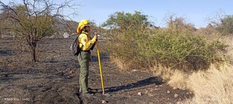 ESTADO ATIENDE INCENDIOS FORESTALES EN SANTA MARÍA DEL RÍO Y CÁRDENAS