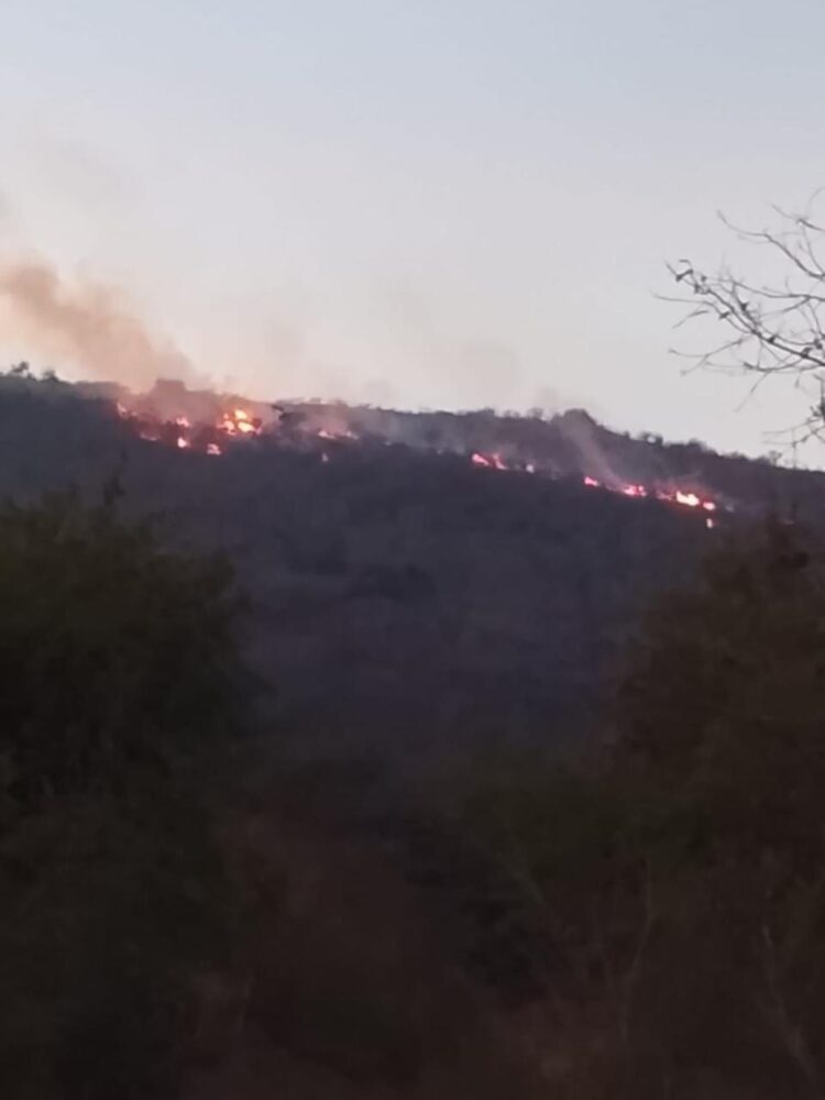 ESTADO ATIENDE INCENDIOS FORESTALES EN SANTA MARÍA DEL RÍO Y CÁRDENAS