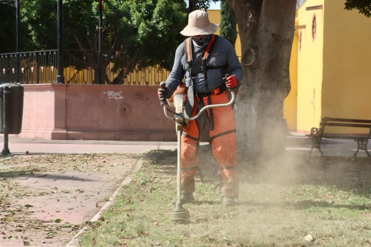 Mantenimiento municipal de jardines beneficia al barrio de El Montecillo