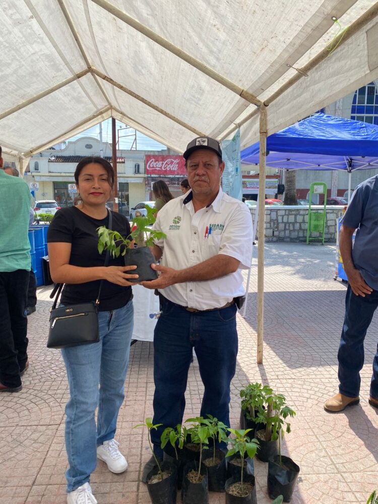 ESTADO FORTALECE SU ENTORNO CON REFORESTACIÓN PRODUCTIVA