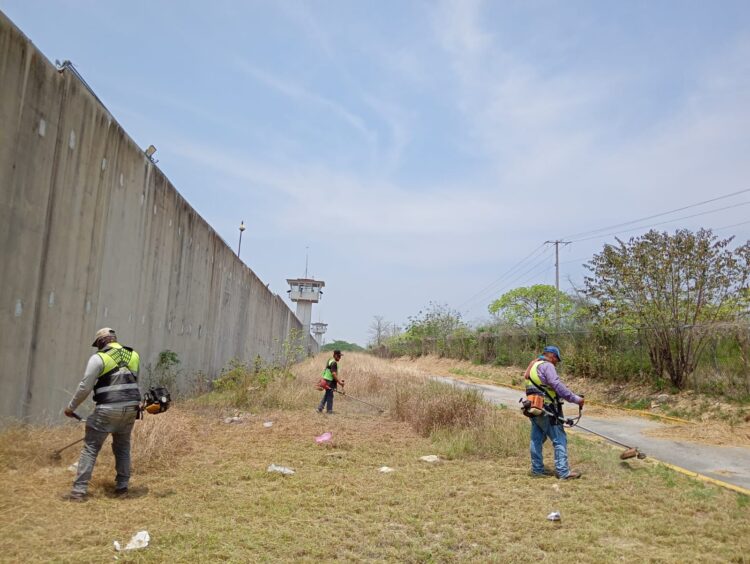 ESTADO CONSERVA CAMINO AXTLA-COXCATLÁN