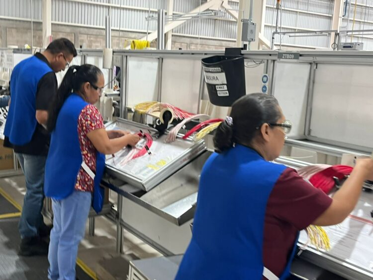 SAN LUIS MANTIENE EL MEJOR RITMO EN CRECIMIENTO DE EMPLEO