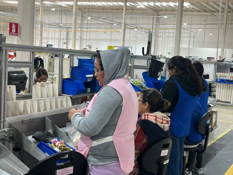 SAN LUIS MANTIENE EL MEJOR RITMO EN CRECIMIENTO DE EMPLEO