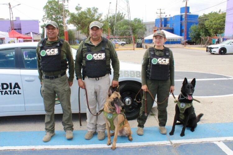 ACCIONES INSTITUCIONALES DE LA GCE CONSOLIDAN LA ESTRATEGIA DE SEGURIDAD EN EL ESTADO
