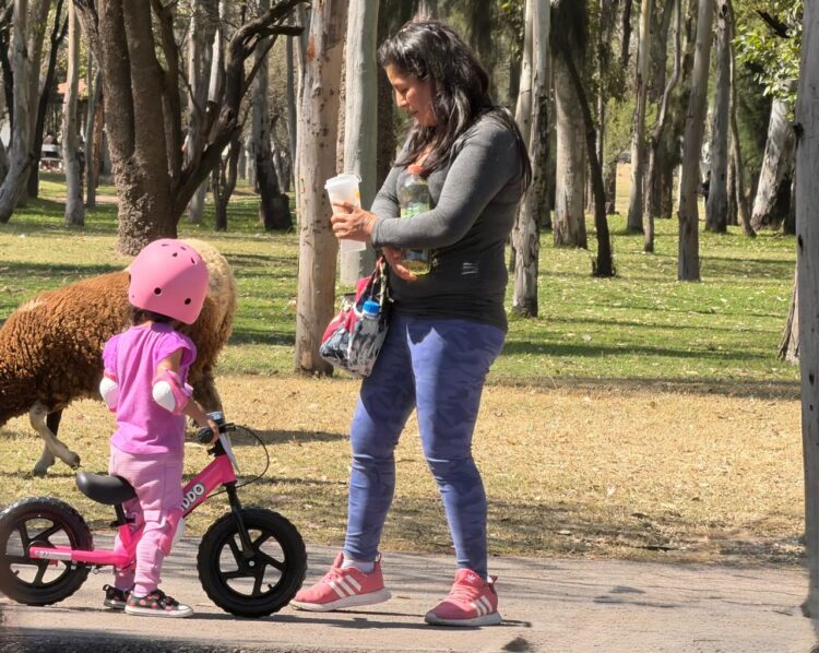 FIN DE SEMANA DE DEPORTE, CULTURA Y RECREACIÓN EN PARQUES ESTATALES