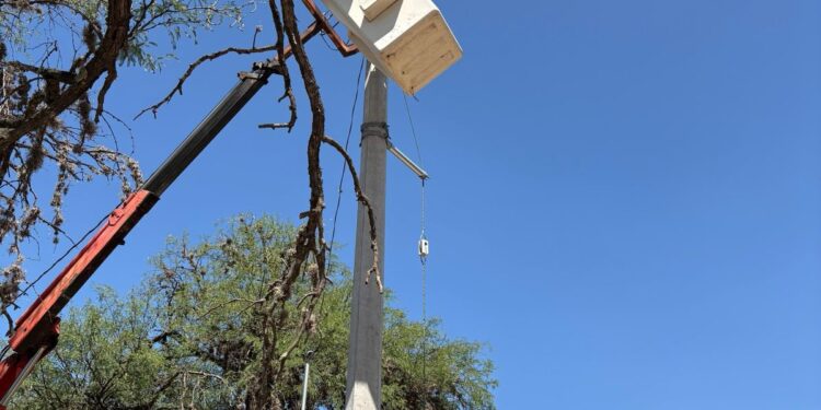 Firme el mejoramiento y modernización de alumbrado público en la Delegación Bocas