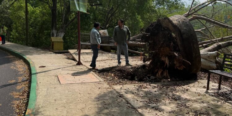 GOBIERNO ESTATAL REHABILITARÁ DAÑOS OCASIONADOS POR TROMBA EN CAMINO AXTLA-COMOCA