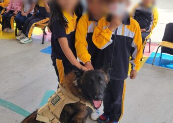 FOMENTAN EL RESPETO A LOS ANIMALES Y LA CULTURA DE LA PAZ ENTRE ESTUDIANTES POTOSINOS