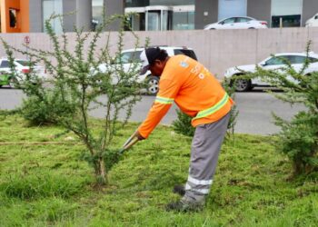 Gobierno de la Capital refuerza mantenimiento en la Glorieta de la salida a Guadalajara