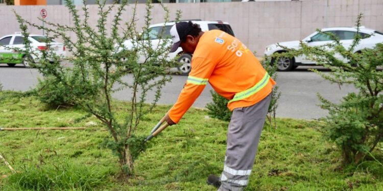 Gobierno de la Capital refuerza mantenimiento en la Glorieta de la salida a Guadalajara