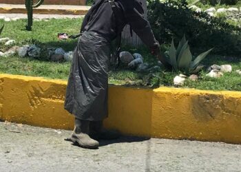 Gobierno de la Capital fortalece limpieza y mantenimiento urbano en Delegación La Pila