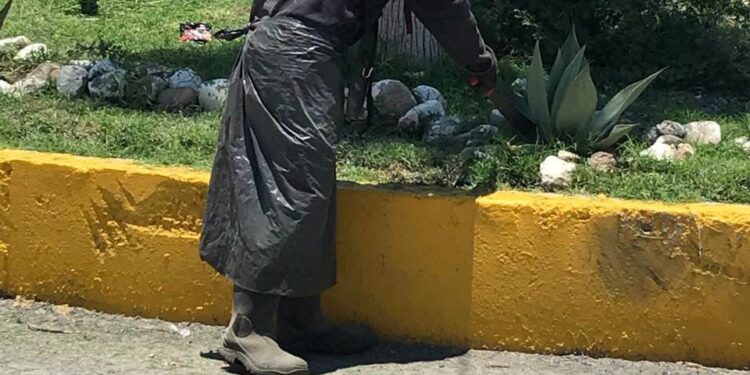 Gobierno de la Capital fortalece limpieza y mantenimiento urbano en Delegación La Pila