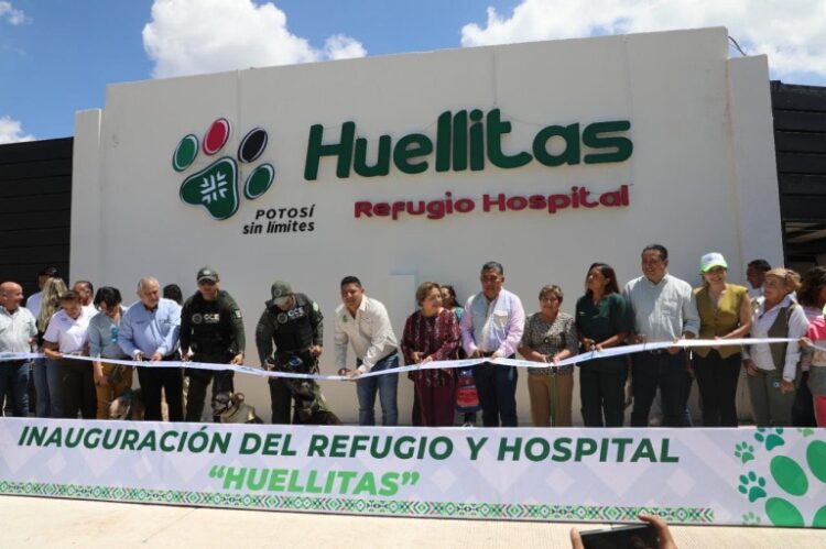 SAN LUIS, NOVENO LUGAR NACIONAL DE HOGARES CON MASCOTAS