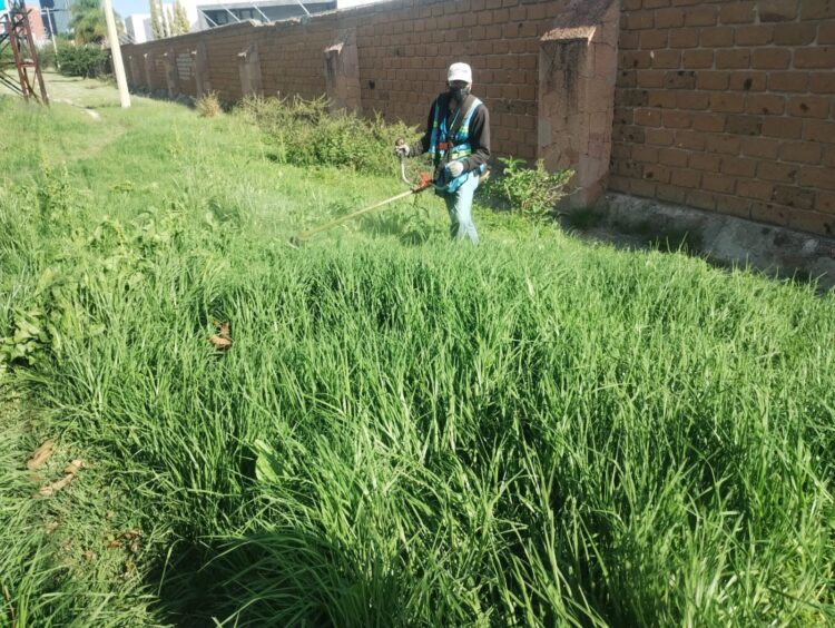 Gobierno de la Capital intensifica mantenimiento de vialidades y áreas verdes