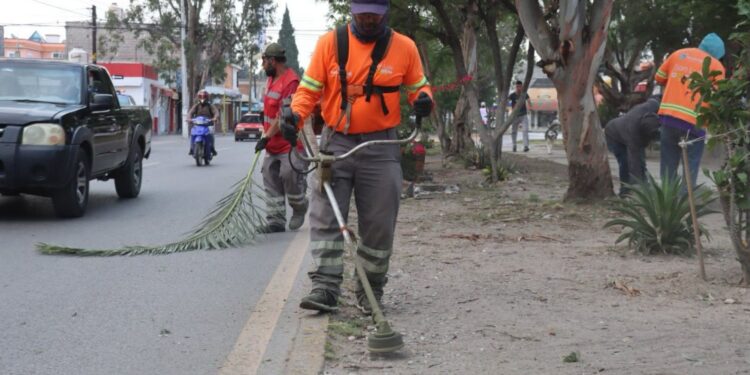 Gobierno de la Capital intensifica mantenimiento de vialidades y áreas verdes