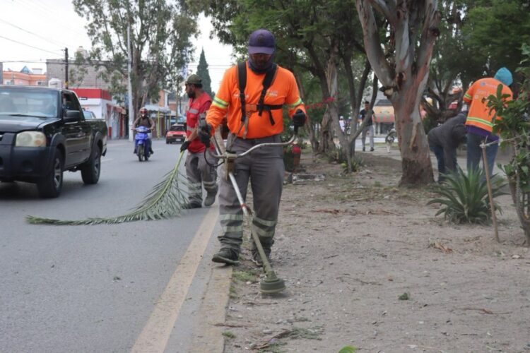Gobierno de la Capital intensifica mantenimiento de vialidades y áreas verdes