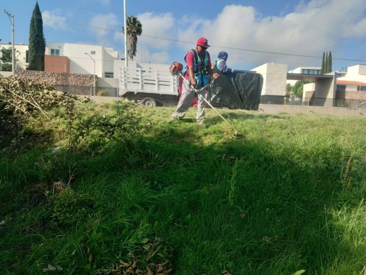 Gobierno de la Capital intensifica mantenimiento de vialidades y áreas verdes