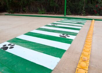 GOBIERNO DEL ESTADO ENTREGA NUEVAS CALLES Y AMPLÍA OBRAS EN MUNICIPIOS POTOSINOS
