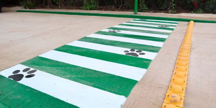 GOBIERNO DEL ESTADO ENTREGA NUEVAS CALLES Y AMPLÍA OBRAS EN MUNICIPIOS POTOSINOS