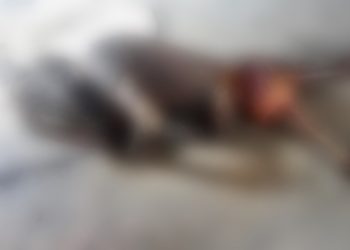 Calcinado y semi devorado localizan a sujeto en la colonia Los Salazares