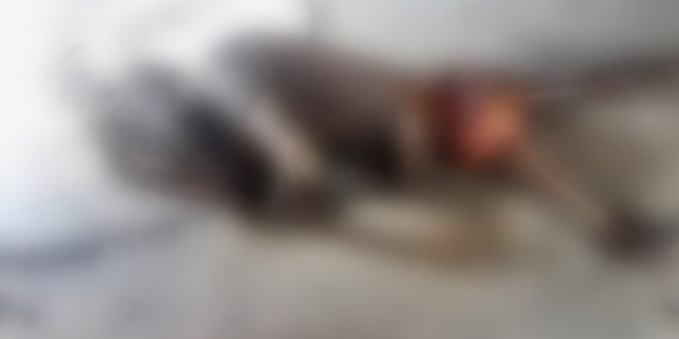 Calcinado y semi devorado localizan a sujeto en la colonia Los Salazares