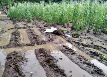 Creciente de rio, termina la vida de 5 personas en Santa María del Rio