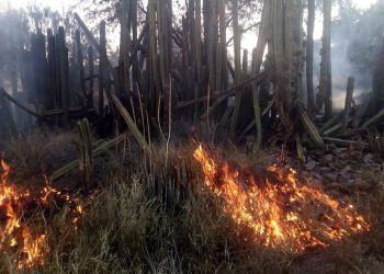 Protección civil municipal sigue combatiendo incendios que se registran en el municipio