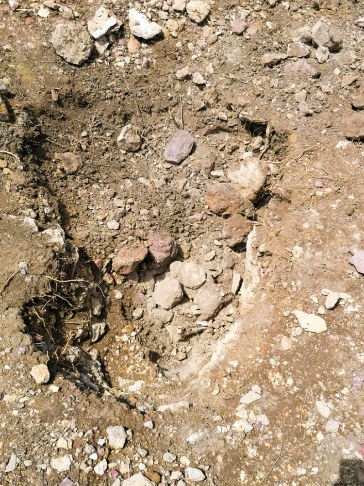 Localizan restos humanos en dos fosas clandestinas en Villa de Reyes